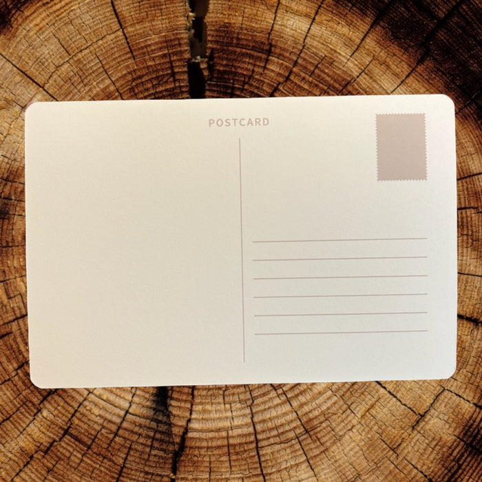 Honey Snail Hikes Sedona Post Card Print