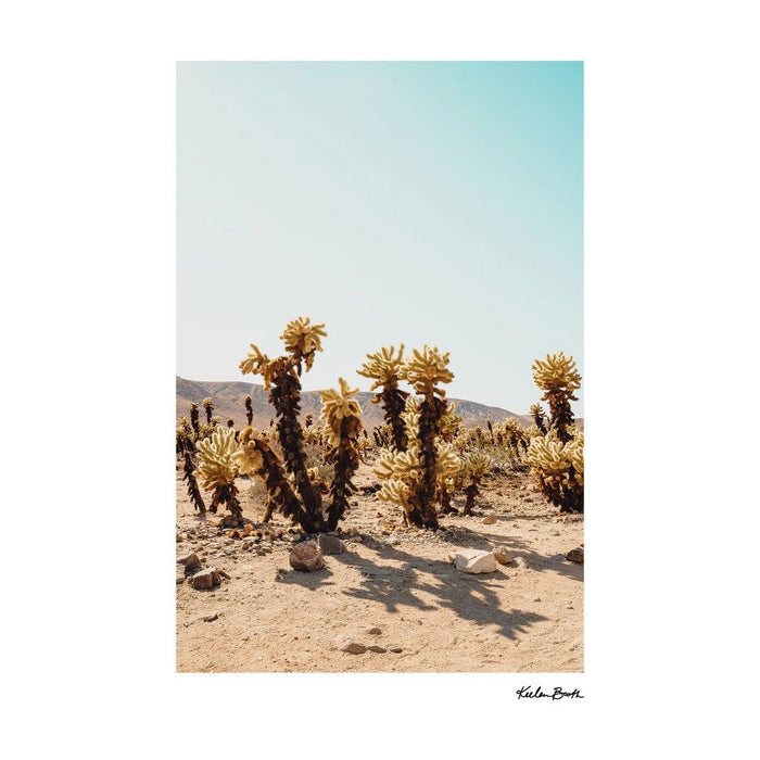 11x14 Photo Print
