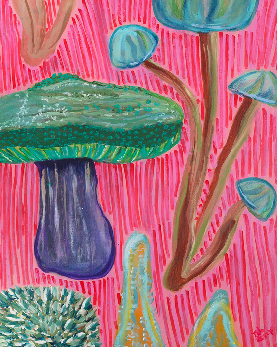 Fun Fungi - Limited Edition Fine Art Print - Pink Artwork - Nature Art for Home Decor