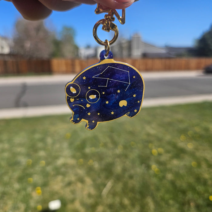 Night Sky Common Rain frog Keychain