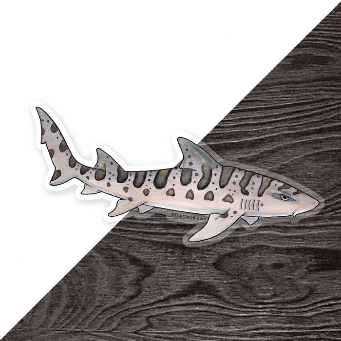 Leopard Shark Clear Vinyl Sticker