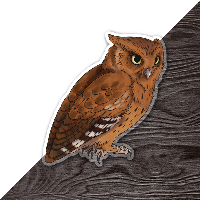 Scops Owl Clear Vinyl Sticker