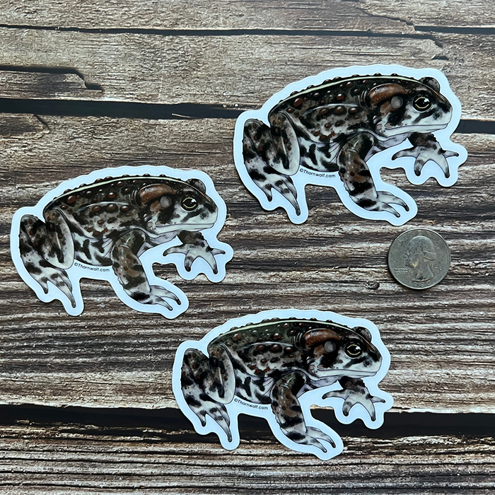 Toad Clear Vinyl Sticker