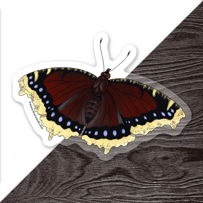 Mourning Cloak Butterfly Clear Vinyl Sticker