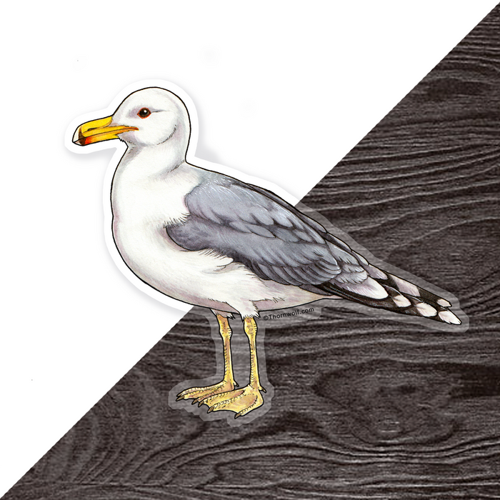 Seagull Clear Vinyl Sticker