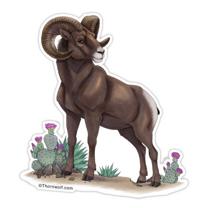 Bighorn Sheep Clear Vinyl Sticker
