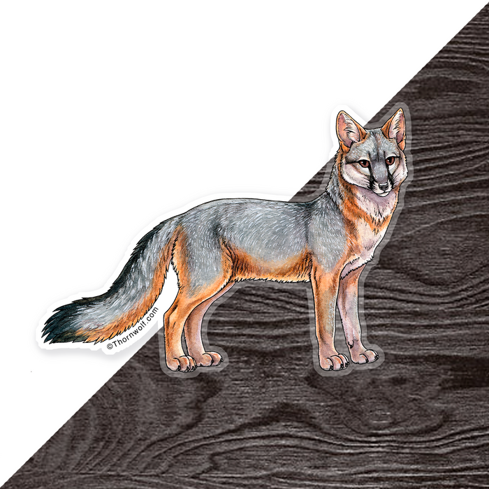 Gray Fox Clear Vinyl Sticker