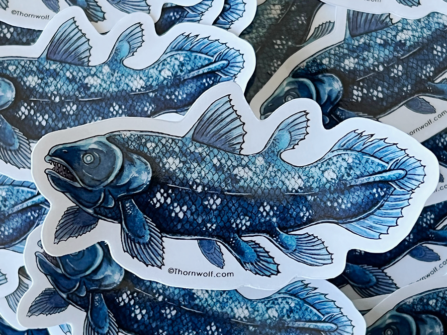 Coelacanth Clear Vinyl Sticker