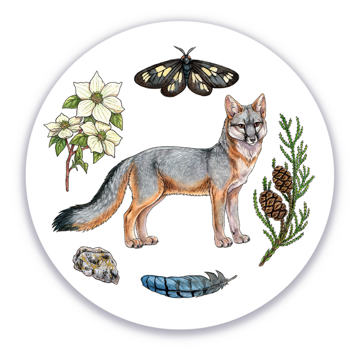 Forest Treasures - Gray Fox Vinyl Sticker