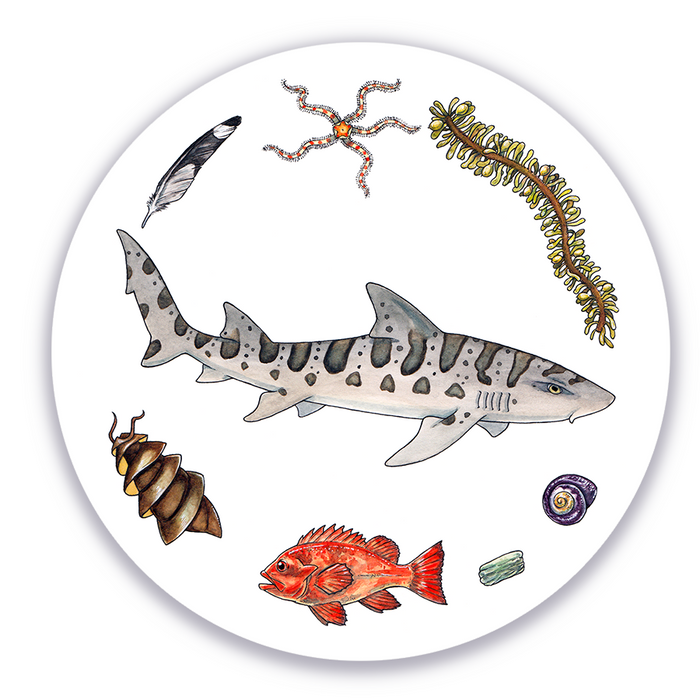 Ocean Treasures - Leopard Shark Round Vinyl Sticker
