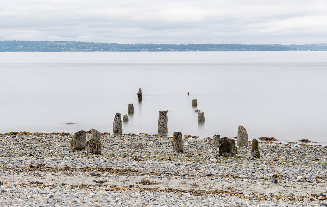 Golden Gardens View