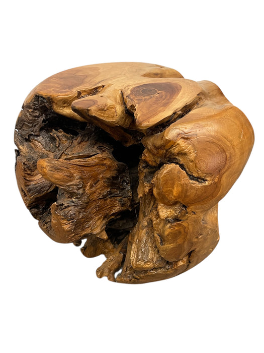 Natural Organic Likely Teak Root Accent Table or Sculptural Display Stand