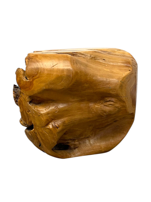 Natural Organic Likely Teak Root Accent Table or Sculptural Display Stand