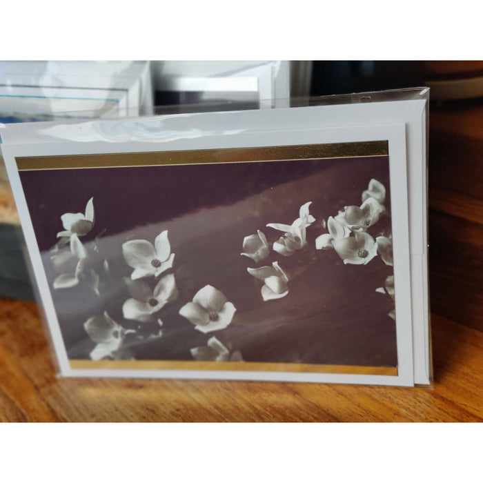 5 x 7 Blank Greeting Cards