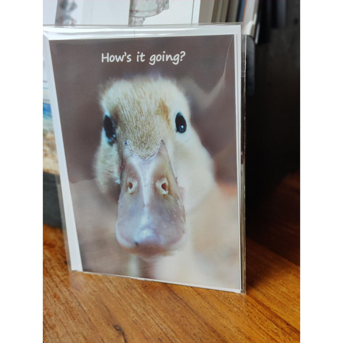 5 x 7 Blank Greeting Cards