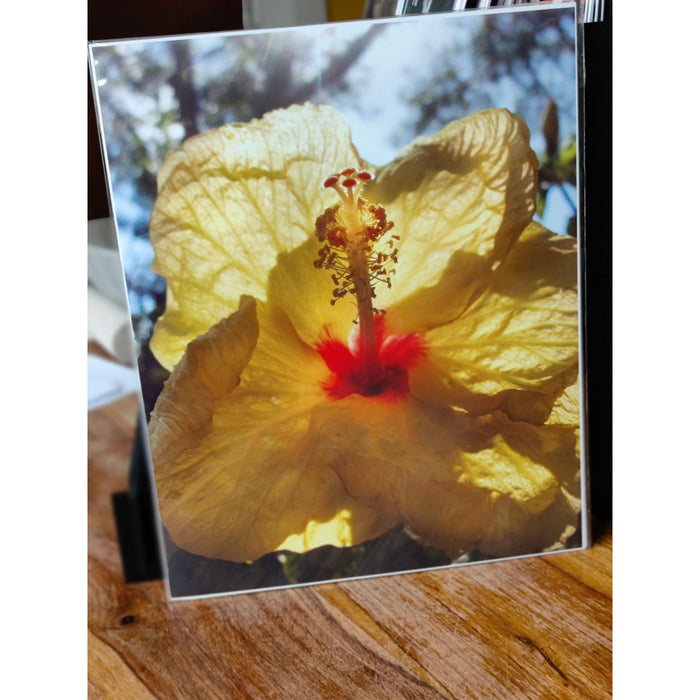 5 x 7 Blank Greeting Cards