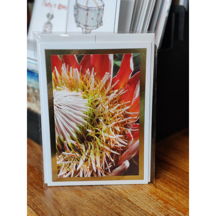 5 x 7 Blank Greeting Cards