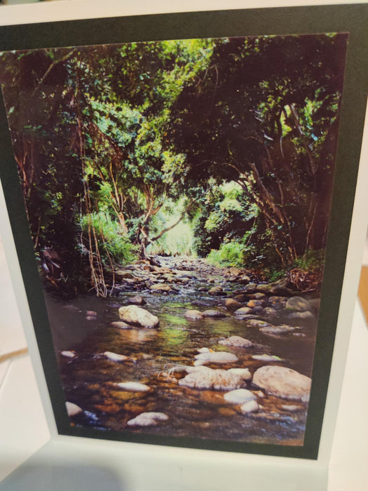 5 x 7 Blank Greeting Cards