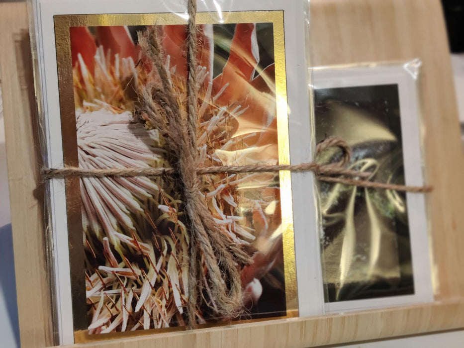 5 x 7 Blank Greeting Cards