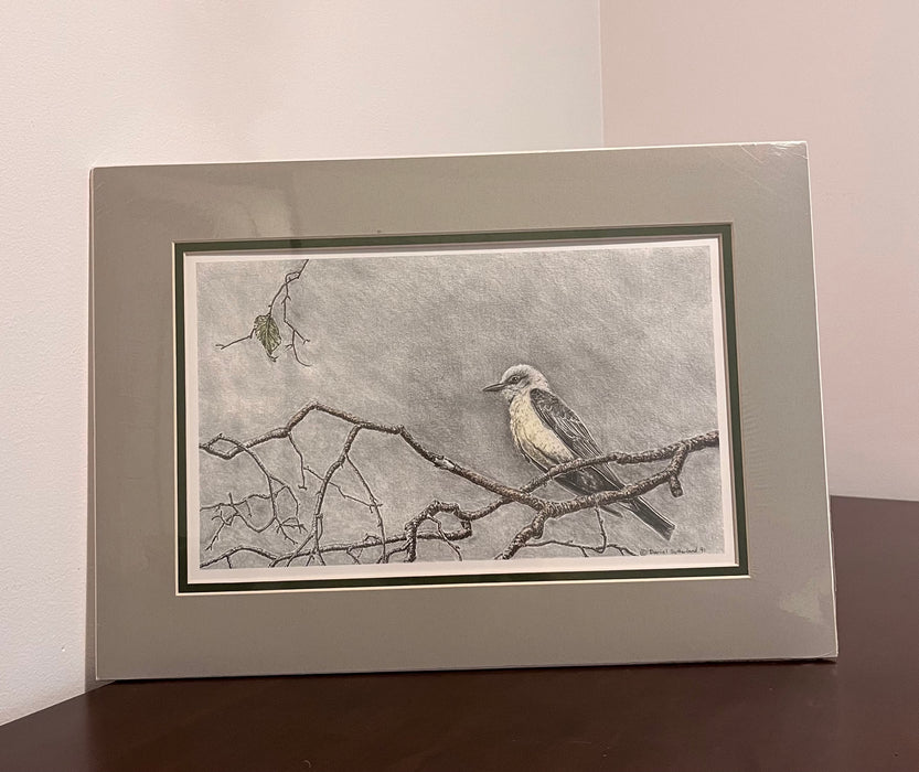 Western Kingbird