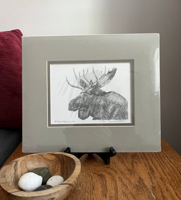 Moose