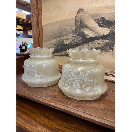 Vintage Pair of Frosted Glass Lamp Shades With Rose Motif