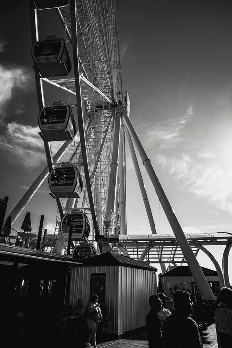 Seattle Wheel