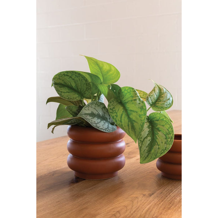 6” Brand New Accent Decor Terra-Cotta Planter Pot