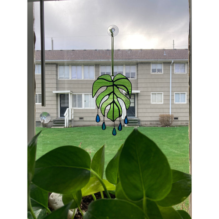Well Watered Monstera Stained Glass