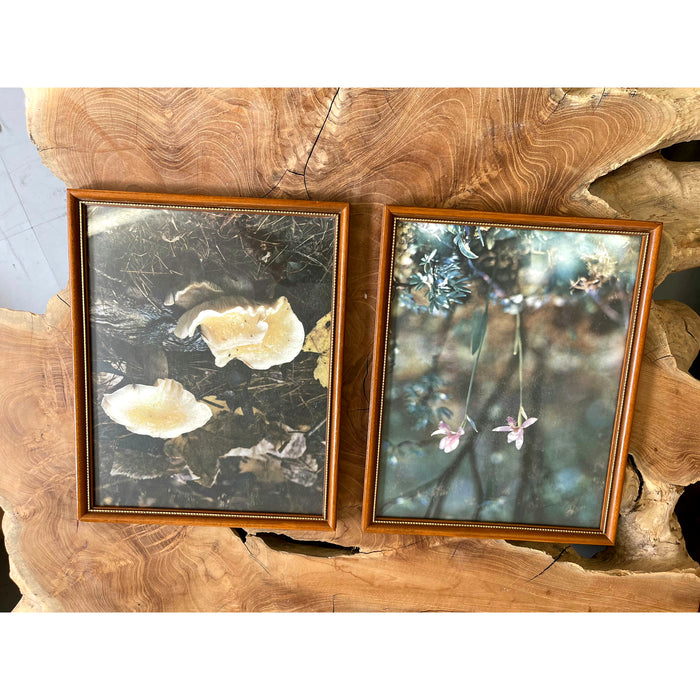 Vintage Framed Art 2 Available $25 Each