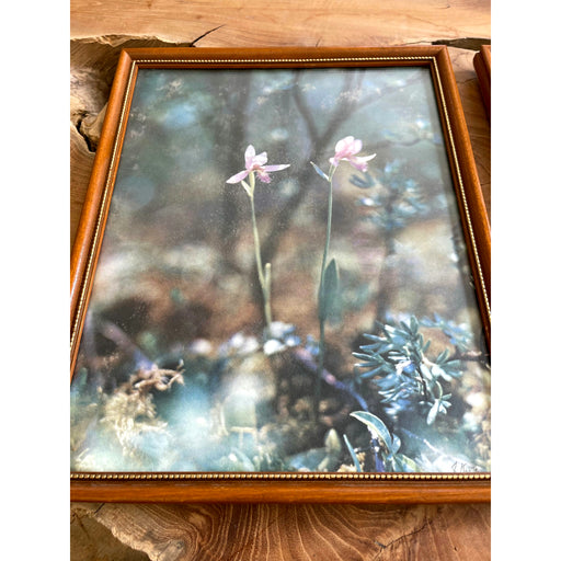 Vintage Framed Art 2 Available $25 Each