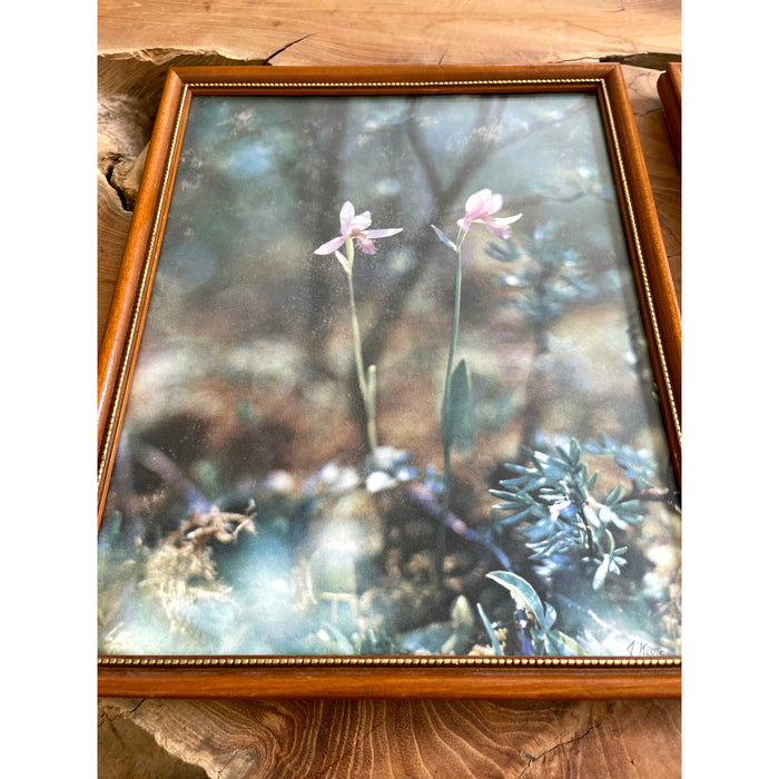 Vintage Framed Art 2 Available $25 Each