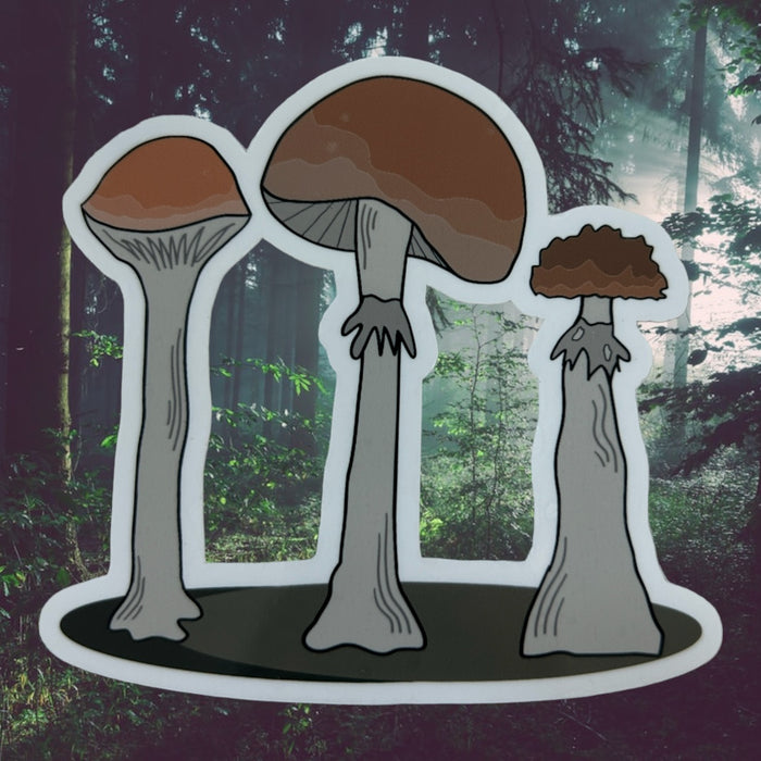 Golden Teacher Mushroom Sticker