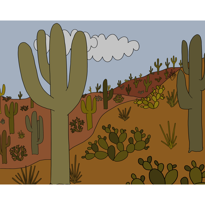 Framed Sonoran Desert 8"x10" Print