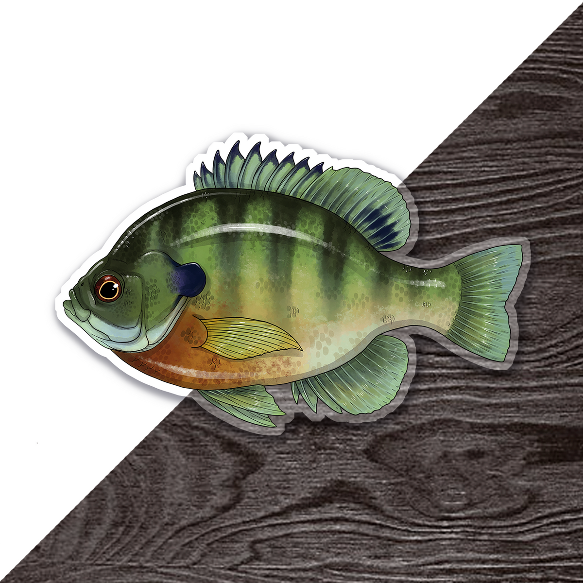 Panfish Sticker Bluegill Fish Clear Vinyl Sticker — Big Whale Consignment