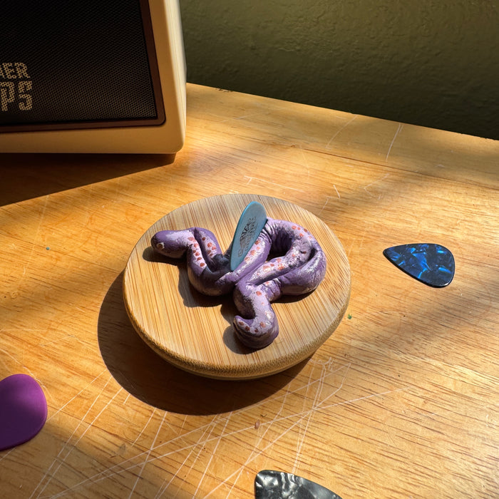 Guitar Pick Holder - Fun Gift for Guitar Player - Snake Artwork