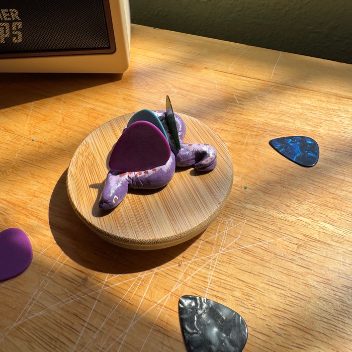 Guitar Pick Holder - Fun Gift for Guitar Player - Snake Artwork