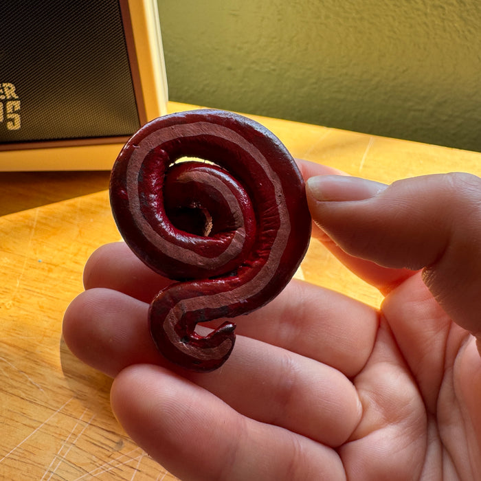 Guitar Pick Holder - Fun Gift for Guitar Player - Snake Artwork