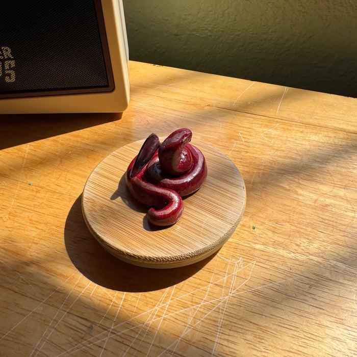 Guitar Pick Holder - Fun Gift for Guitar Player - Snake Artwork