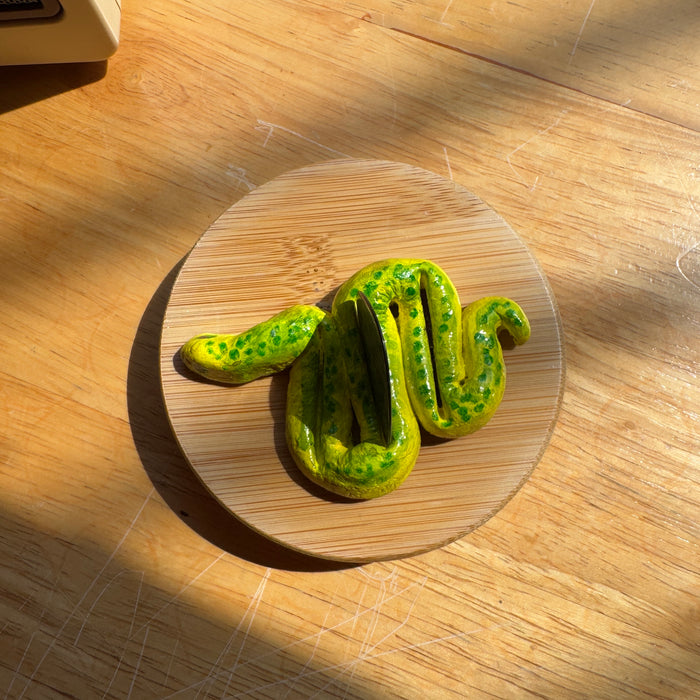 Guitar Pick Holder - Fun Gift for Guitar Player - Snake Artwork