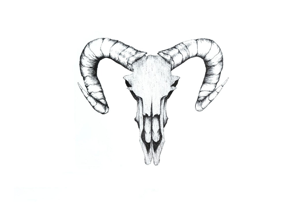 Ram Skull Print (Black)