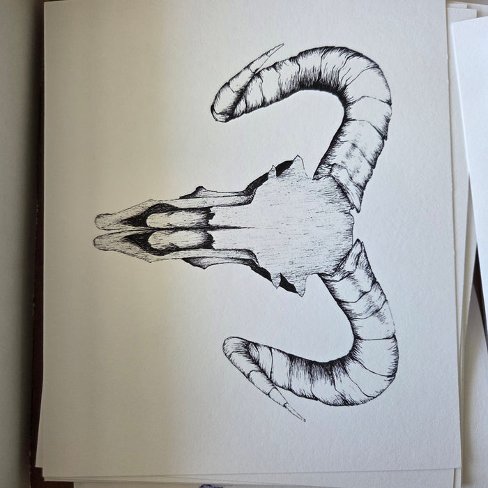 Ram Skull Print (Black)