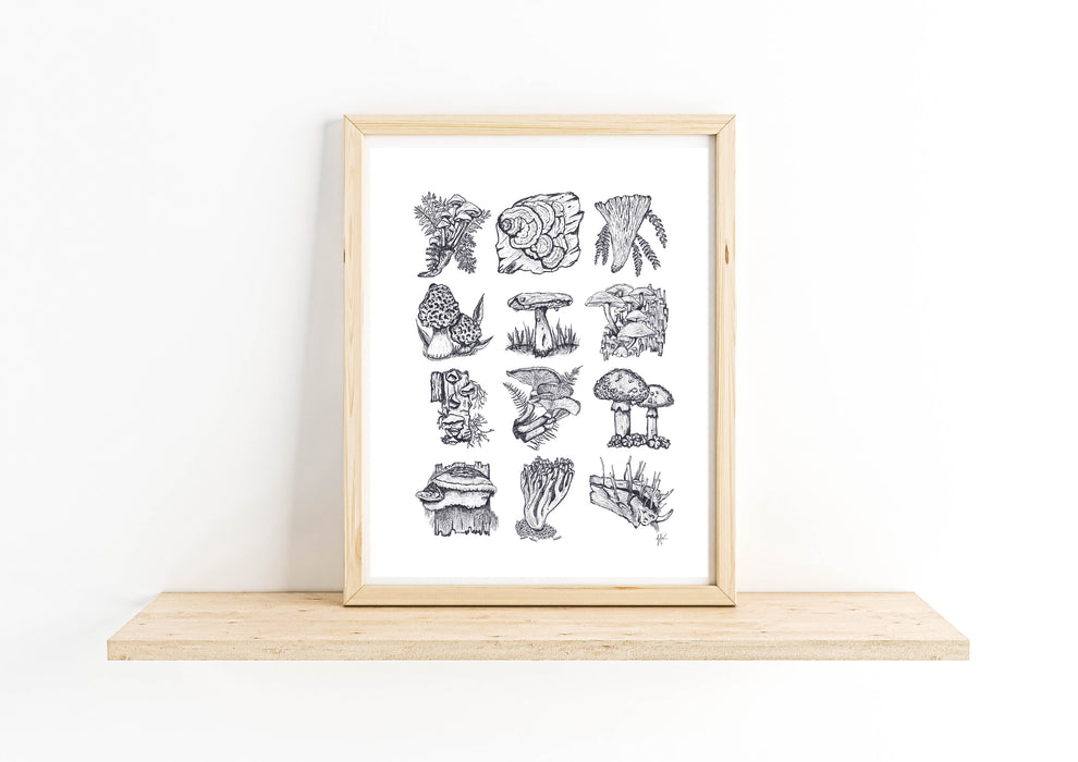 Mushroom Study Art Print Botanical Illustration