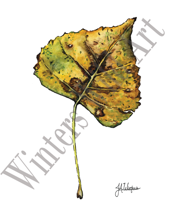 Yellow Leaf Art Print Botanical Watercolor Illustration 8x10