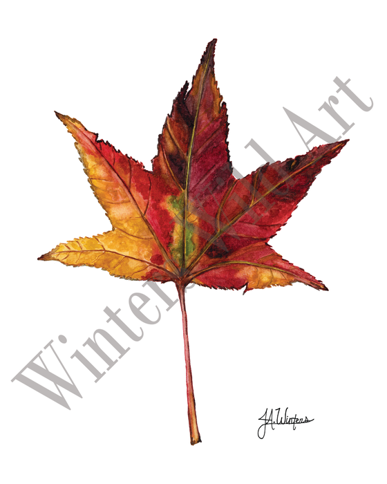 Autumn Leaf Art Print Botanical Watercolor Illustration 8x10