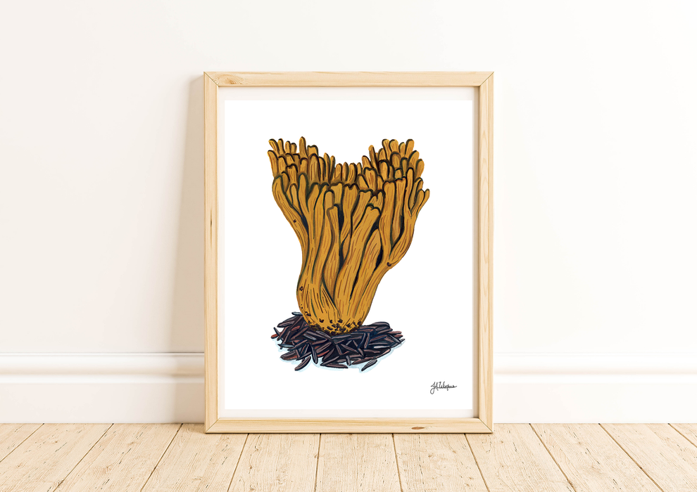 Coral Fungi Art Print Botanical Illustration 8x10