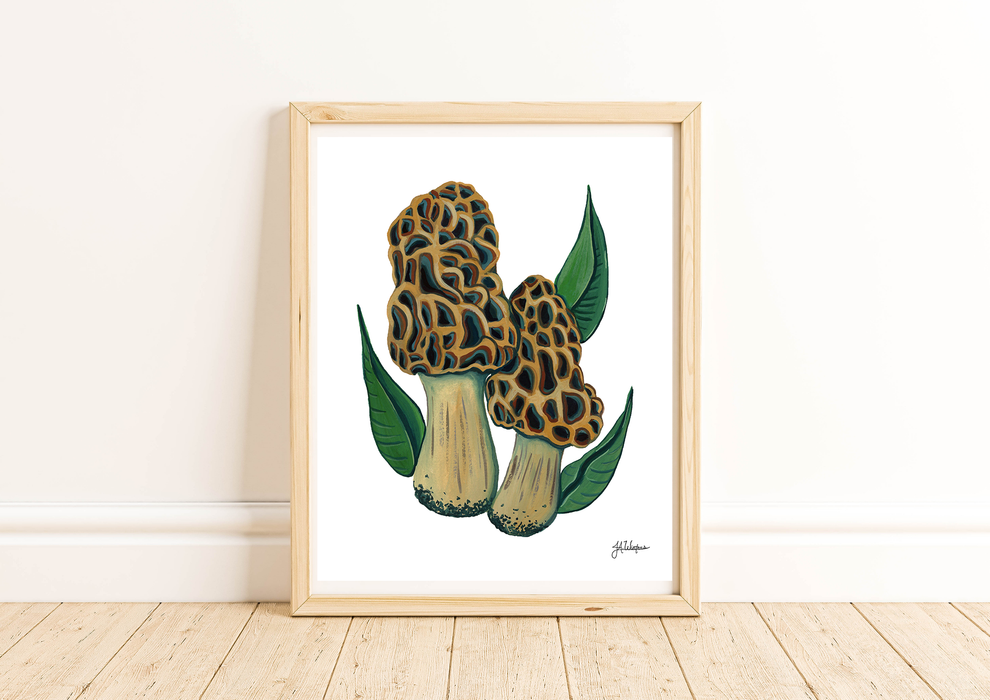 Morel Mushrooms Art Print Botanical Illustration 8x10