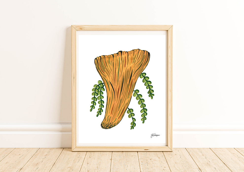 Woolly Chanterelle Art Print Botanical Illustration 8x10