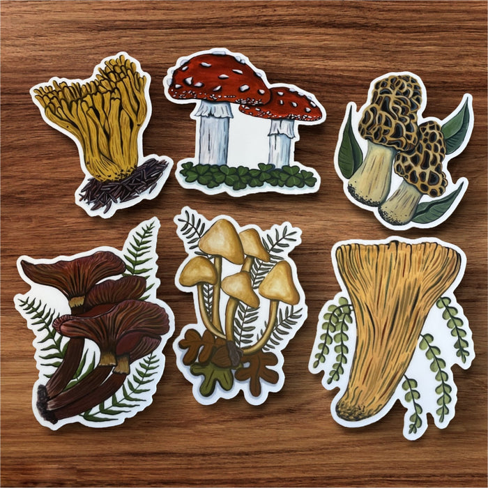 Mushroom Sticker Pack: Six Hand-Painted Die Cut Fungi Illustrations