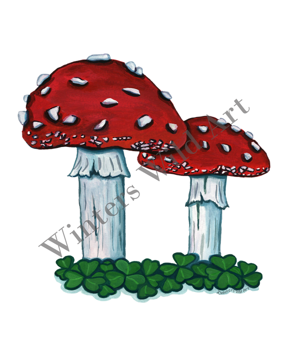 Mushroom Sticker Pack: Six Hand-Painted Die Cut Fungi Illustrations